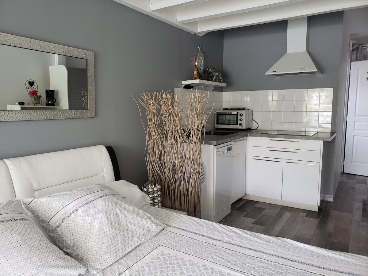 Studio Zure Ondoan - Spa Et Piscine Chauffee Tarnos Exteriér fotografie